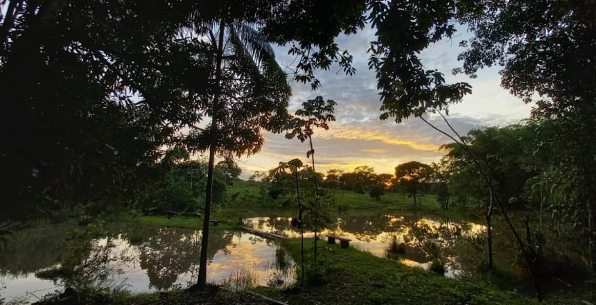 AB30A790-A2CB-4822-8FAF-AFAE43938949