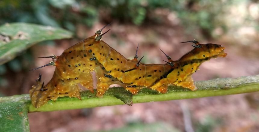 IMG_20190519_101927-01-1024x563